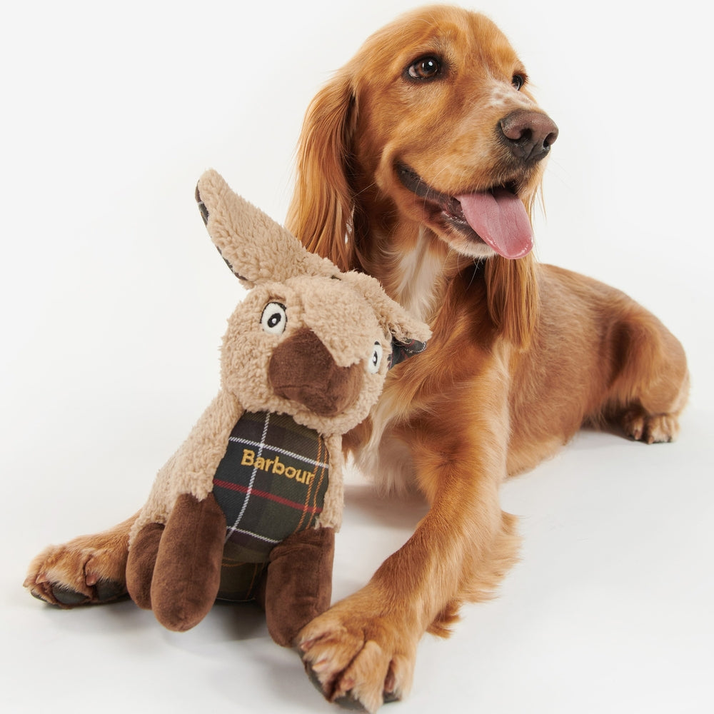 Rabbit Dog Toy