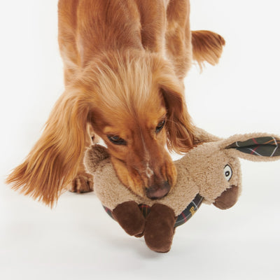 Rabbit Dog Toy