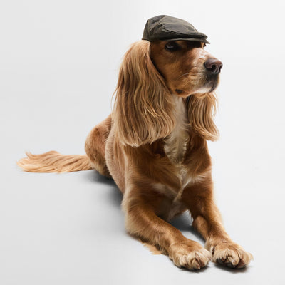 Dog Wax Flat Cap