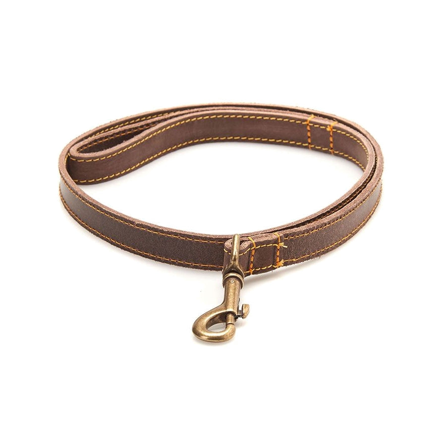 Leather Dog Lead