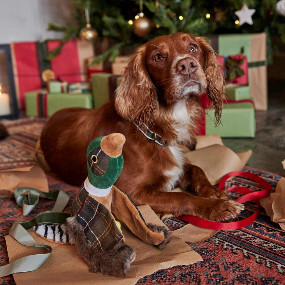 Barbour pheasant on sale