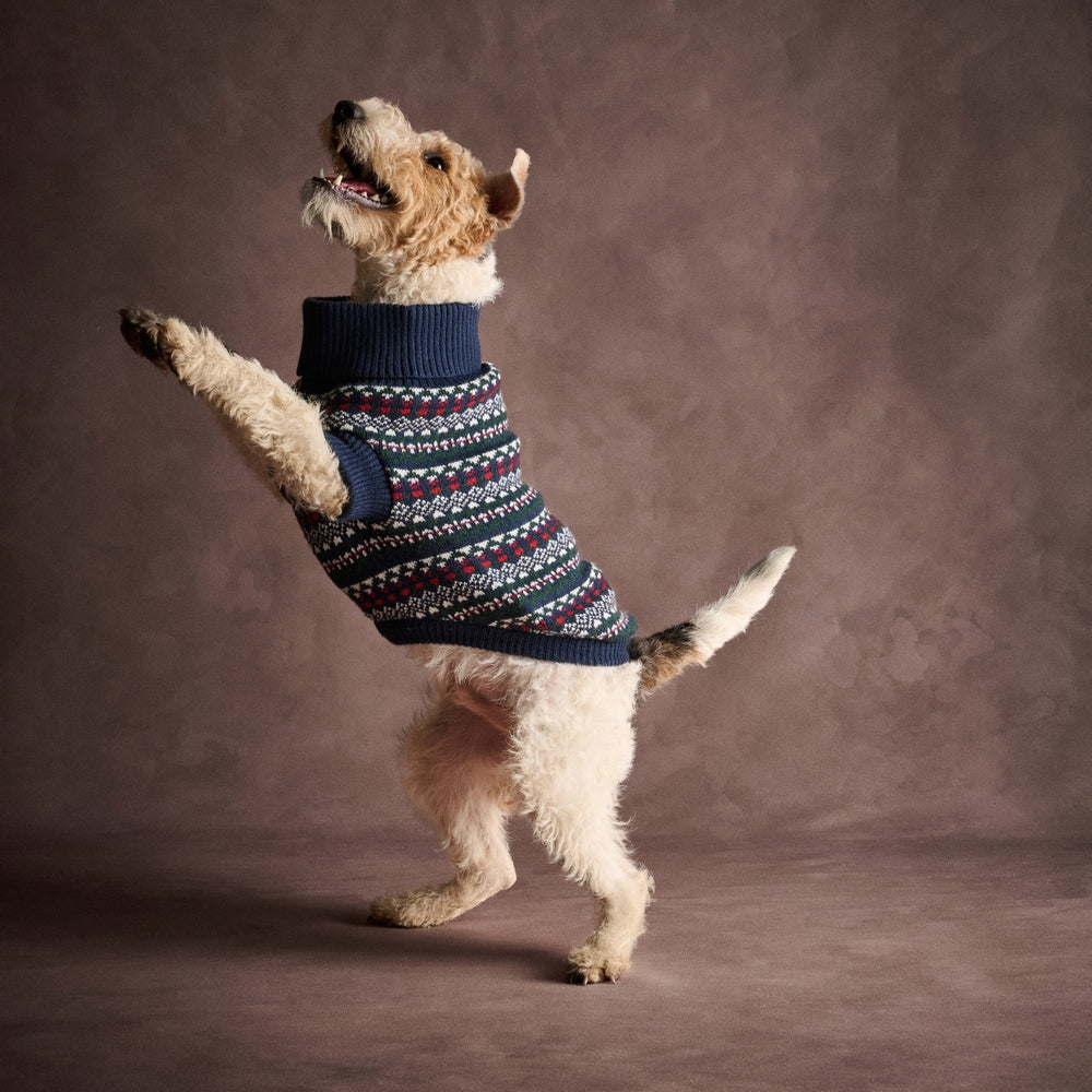 Barbour Marlow Fair Isle Dog Sweater - M.W. Reynolds