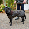 Shop Barbour For Dogs