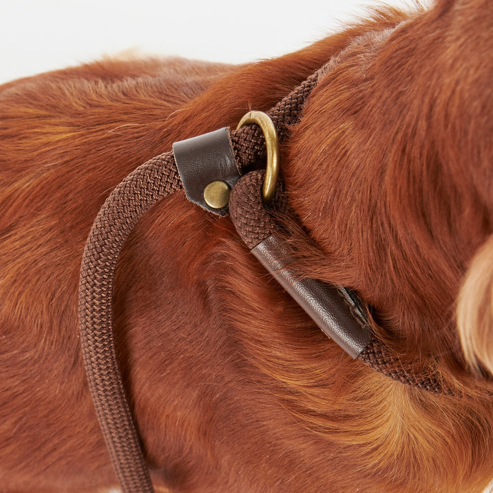 Tartan Trimmed Slip Lead