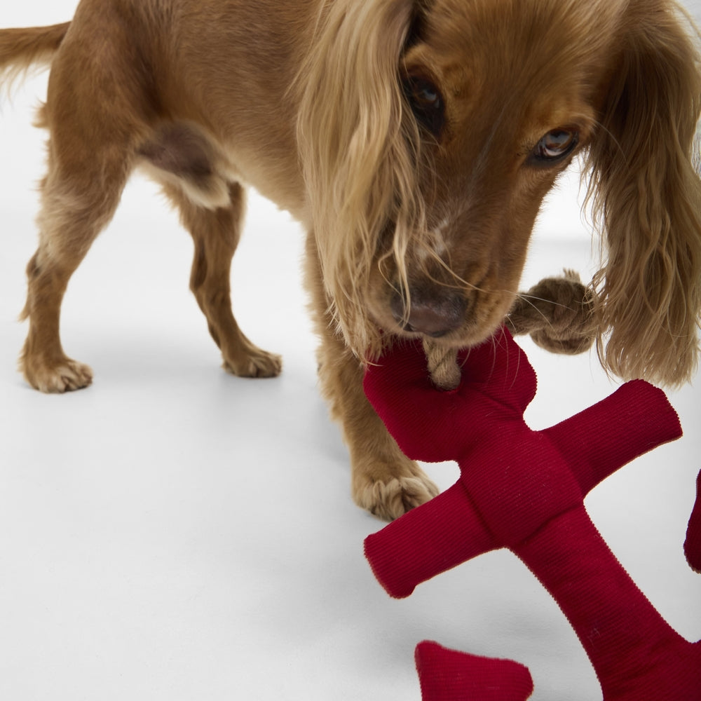 Barbour Anchor Dog Toy - M.W. Reynolds