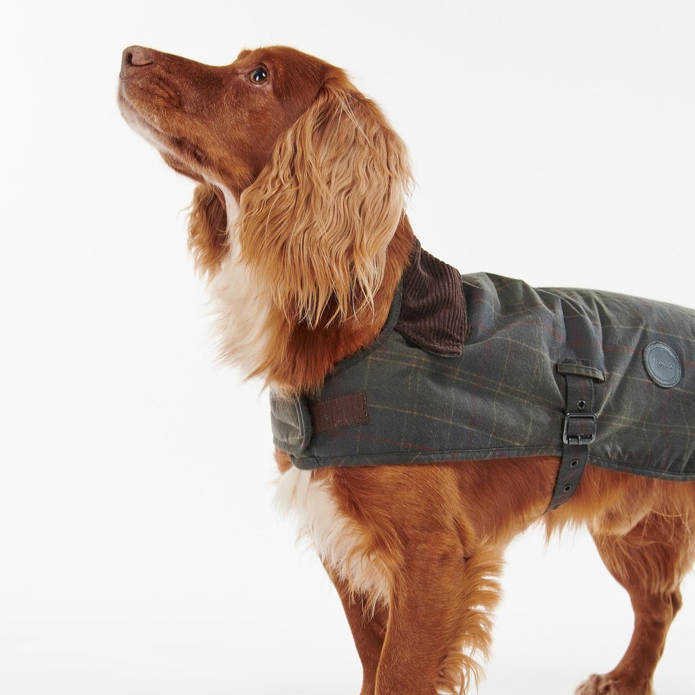 Tartan Wax Dog Coat