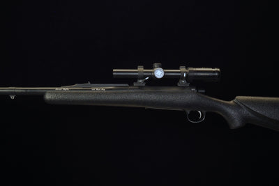 Professional Hunter Model .416 Rem. Magnum