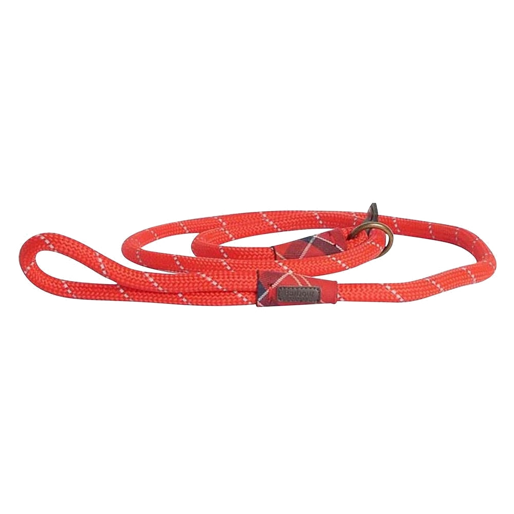 Reflective Slip Lead