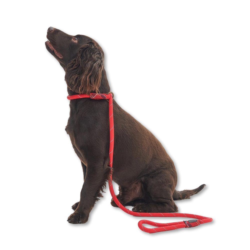 Reflective Slip Lead