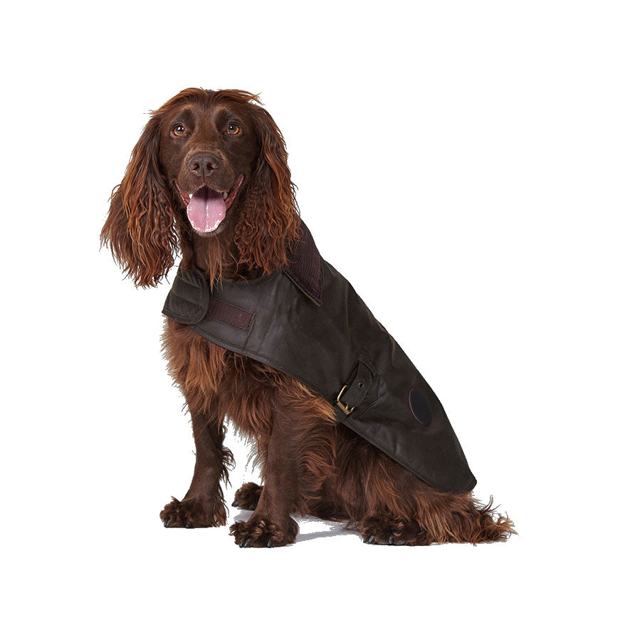 Barbour wax dog coat online